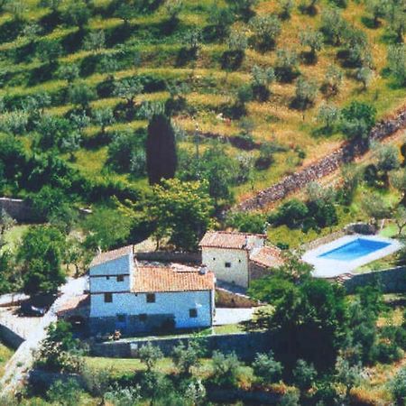 Agriturismo Montereggi Fiesole Pokój zdjęcie